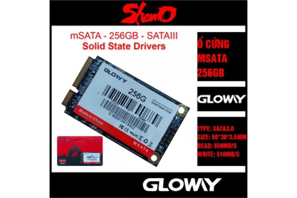 SSD GOLWAY 256GB MSATA (KO VAT)