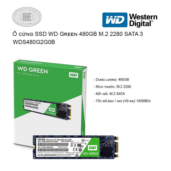 SSD WESTERN 480GB GREEN Cổng M2 VAT